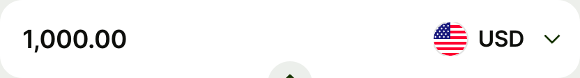 Currency Amount Input